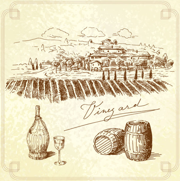 Hand drawn Harvest vineyard elements vector 02  