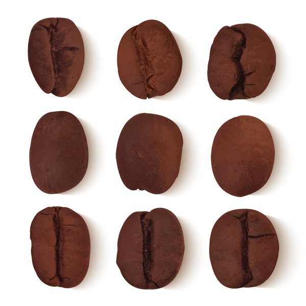 6 grains de café vector illustration  