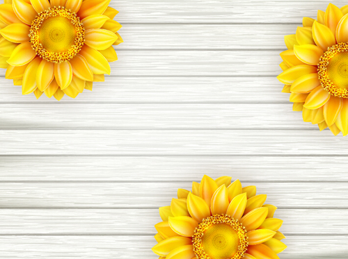 Beautiful sunflowers with wooden background vector 03  