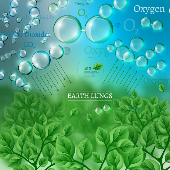 Eco Infographics with bubble vectors 07  