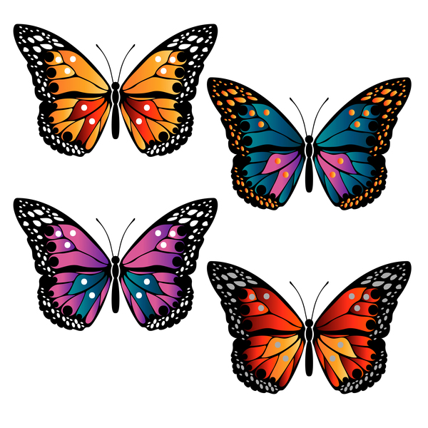 花の装飾的な蝶デザインベクトル03  