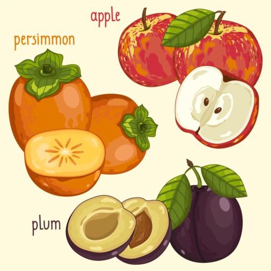 Fruit with name design vector 07  