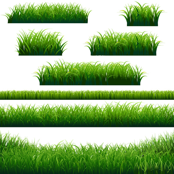 Green grass borders design vector material  