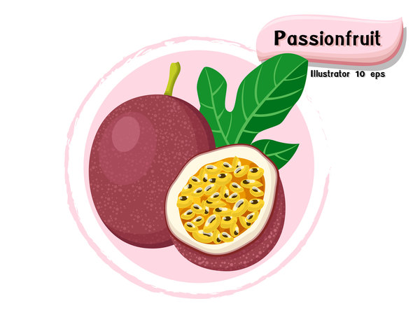 Passionsfrucht-Illustrationsvektor  