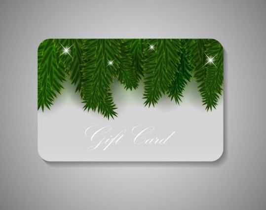 クリスマスギフトカードのベクトルと松の葉  