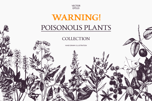 Poisonous plants warning poster vintage vector 01  