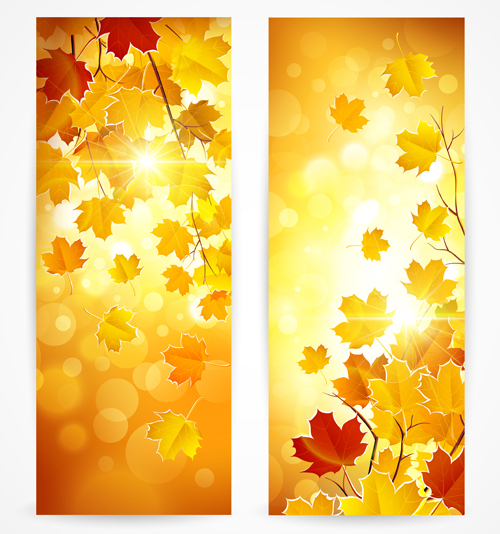 Shiny banner autumn leaves vector  