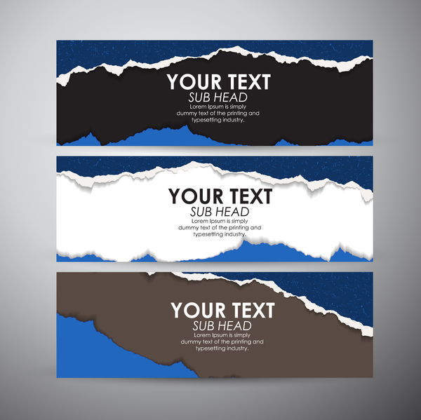 Torn paper banner set vector 05  