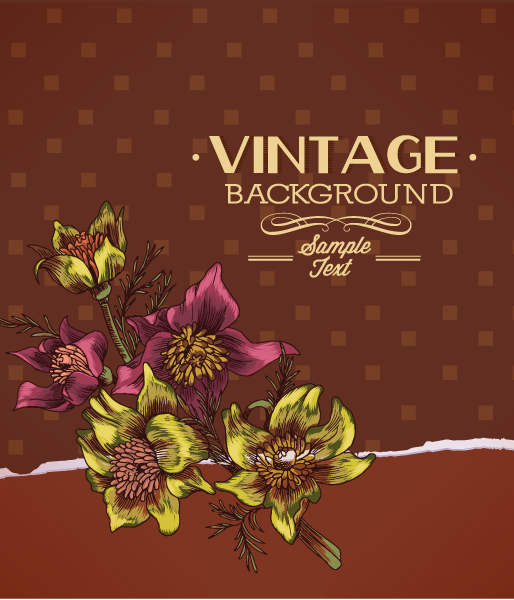 Huge collection of Vintage background vector 01  