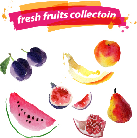 Watercolor fresh fruits set 04 vector  