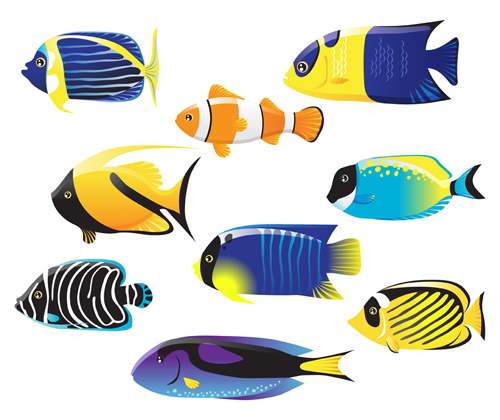 Set of Various Fish vector 02  