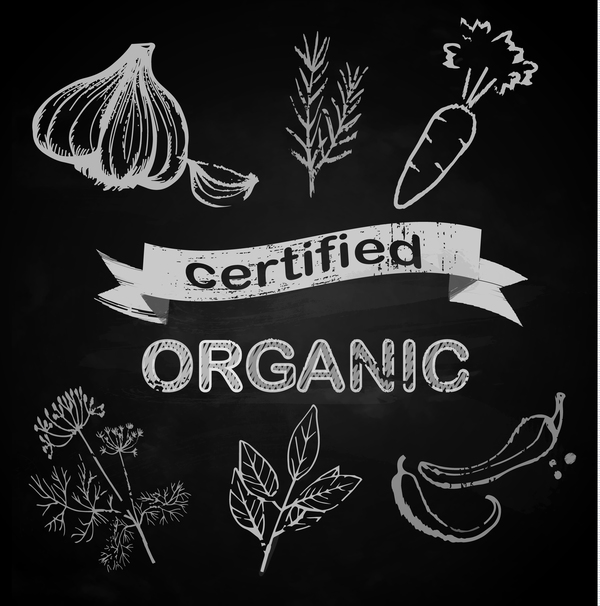 organic vegetables with chalkboard background vector  