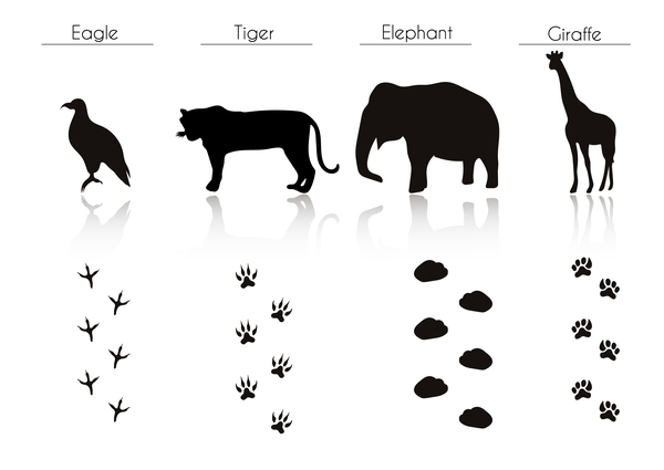 Animals with footprint silhouette vector material 11  
