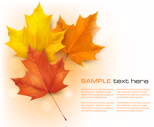 Beautiful autumn leaves background art vectors 03  