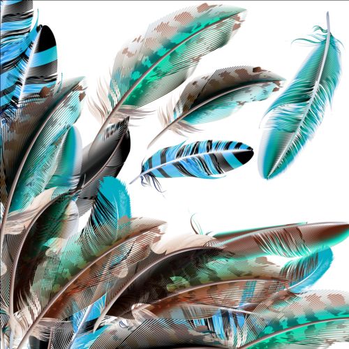 Beautiful feathers art background vector 07  