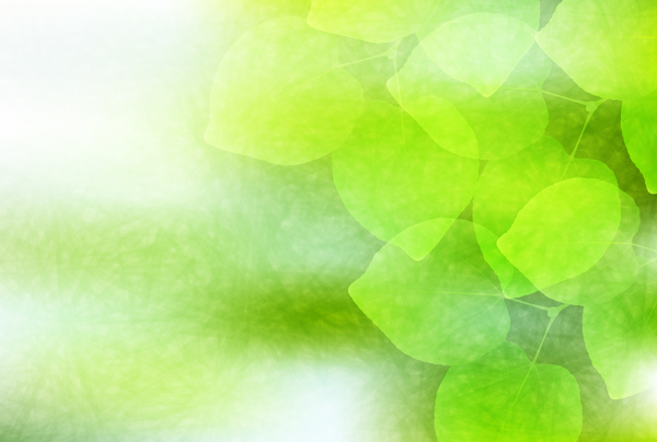 Blurs green leaves vector background  