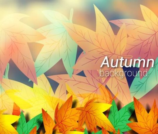 Farbige Herbstblätter mit verschwommenem Hintergrundvektor 01  