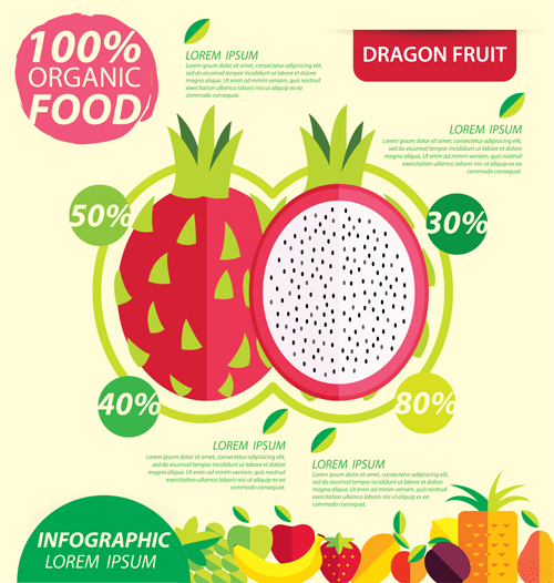 Flat fruits infographic vectors template 04  