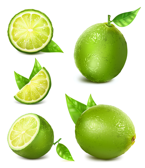 Green lemon vector material  