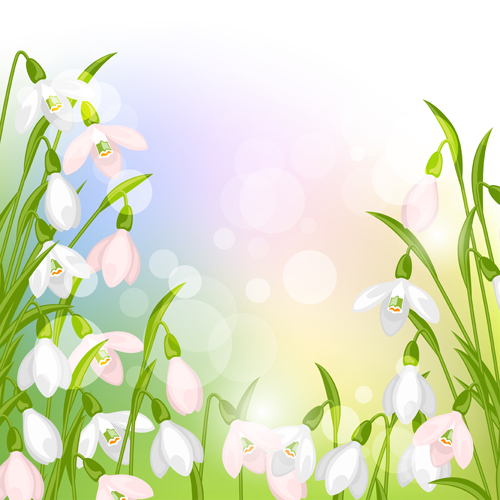 snowdrops flowers with shiny background vector  