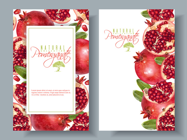 Pomegranate cards template vector 02  