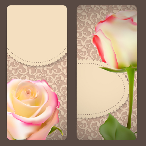 Rose cards with decor pattern vector 02  