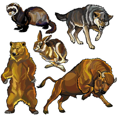 Vector set of wild animals design graphic 04  