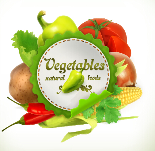 Vegetables vector label  