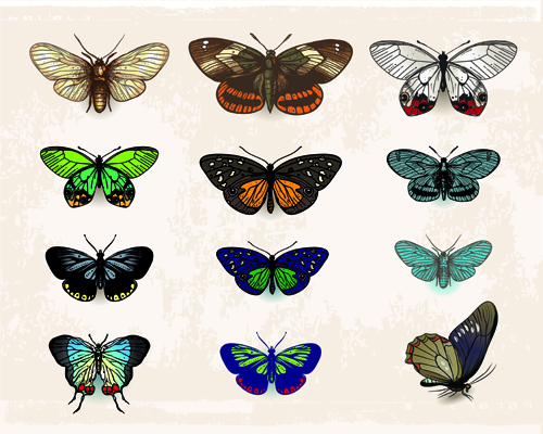 Vintage butterflies specimen design vector 01  
