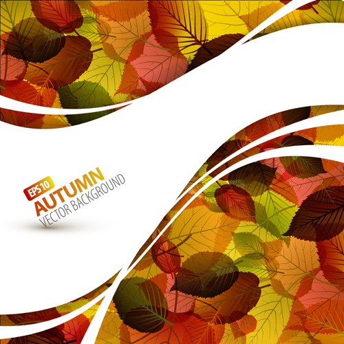 Pretty Autumn backgrounds art vector 04  