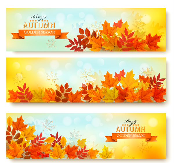 three nature autumn banners with leaves vector  
