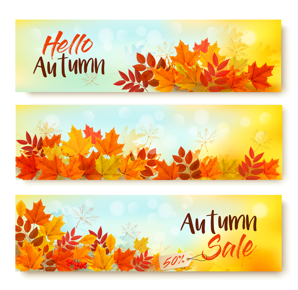 drei Verkauf Herbst Banner mit Blättern Vektor  