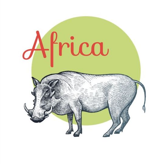 Africa rhinoceros vector 02  