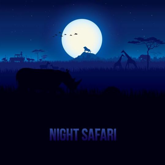 Bight safari landscape beautiful vector 03  