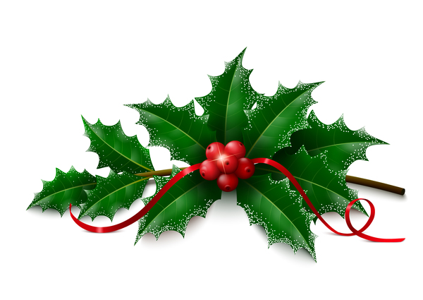 Christmas holly on white background vectors  