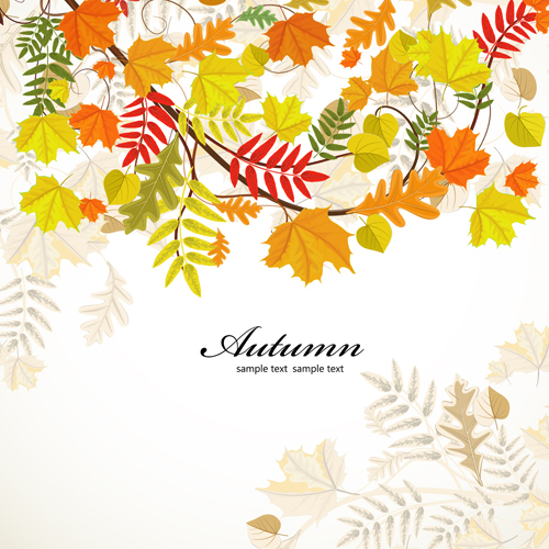 Colored autumn leaves backgrounds vector  