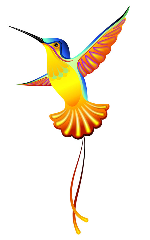 Cute hummingbird vector 01  