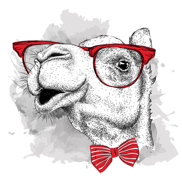 Funny camel and glasses vector material 01  