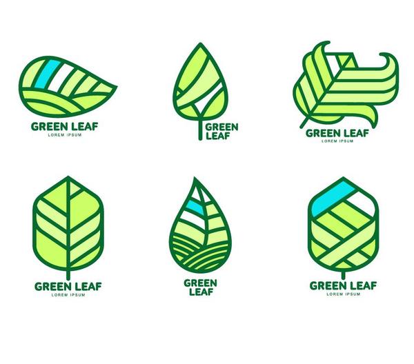 Vecteur de conception de logos de feuille verte  