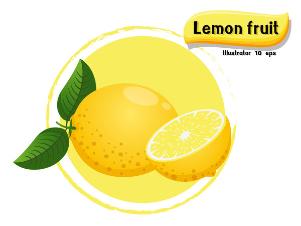 Lemon fruit illustration vector  