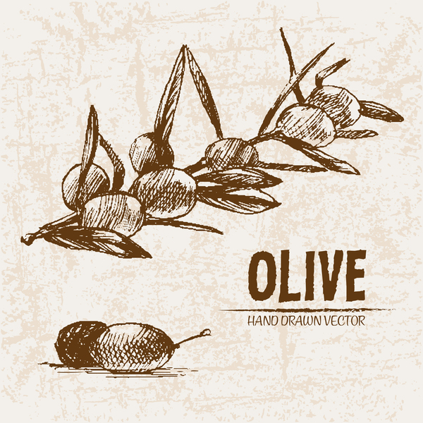 Olivgrüne Hand gezeichnete Vektoren Design Set 01  