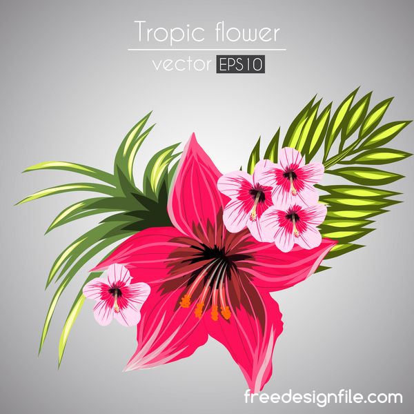 Red with pink tropical flowers vector 05  