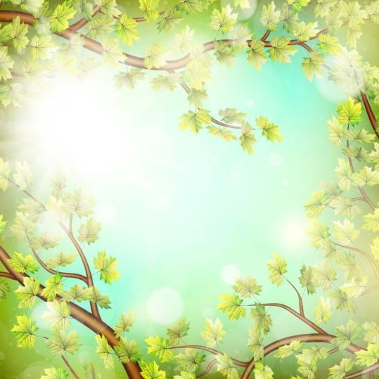 Summer green leaves with sunlight background vector 04  