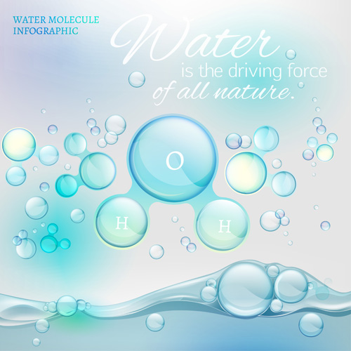 Water molecule infographics creative vectors set 06  