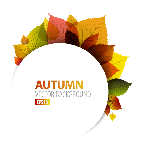 Set of charm Autumn backgrounds vector 05  