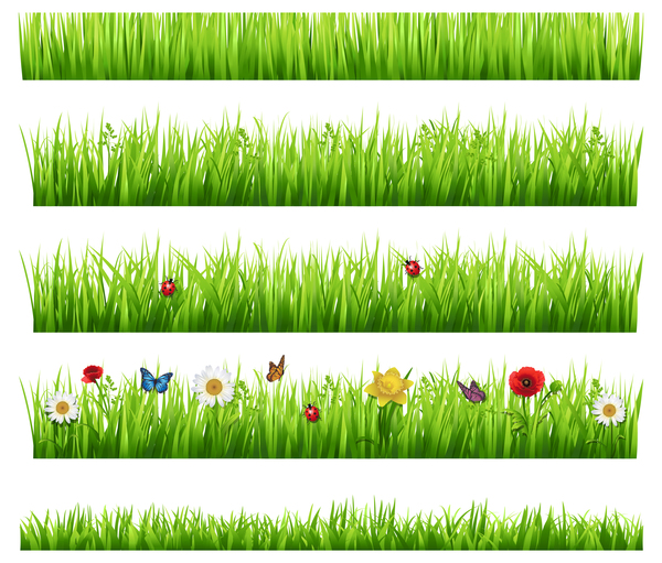 grass borders with flower vector 02  