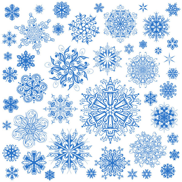 Different Snowflake patterns design elements vector 02  