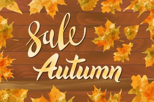 Autumn sale with wooden background and leaves vector 03  