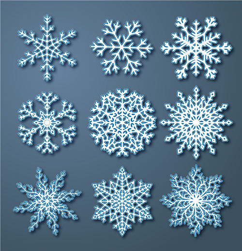 Beautiful snowflake pattern vectors 04  