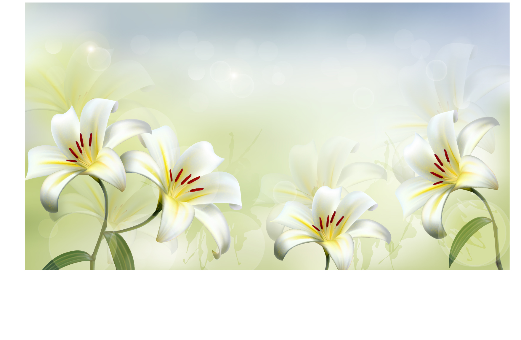 Beautiful white flower vector background 02  